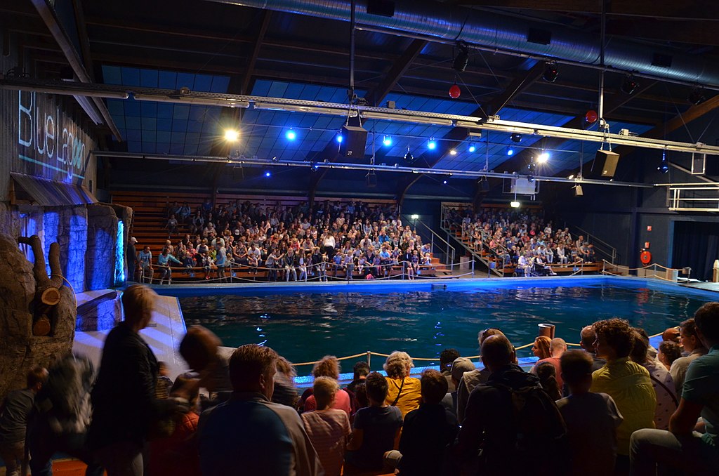 photo-of-crowd-at-blue-lagoon-attraction-at-ouwehands-zoo-rhenen