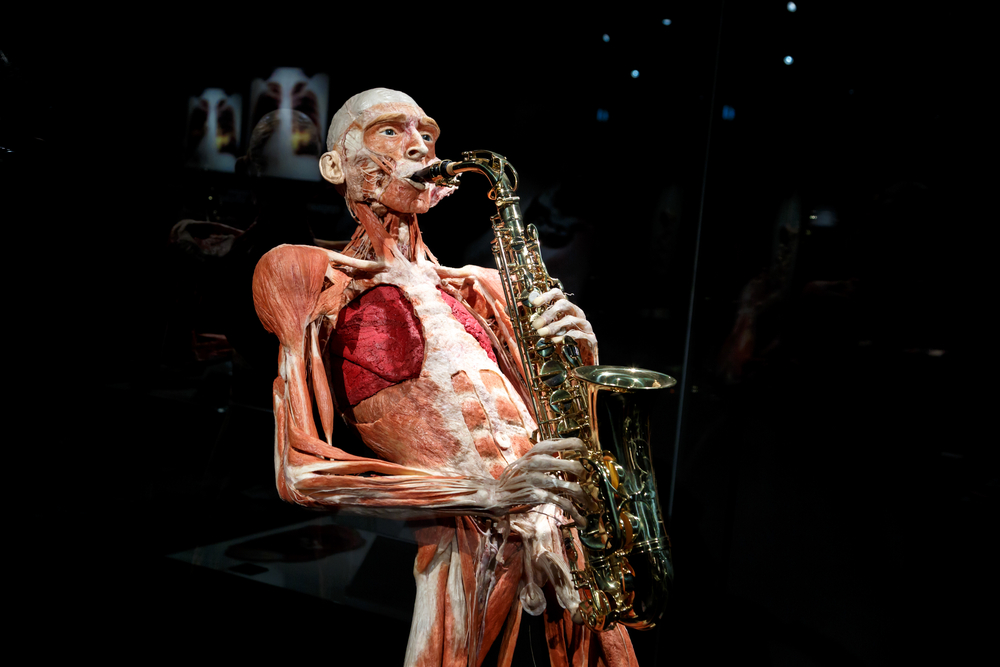 body-worlds-exhibition-museum-things-to-do-in-amsterdam