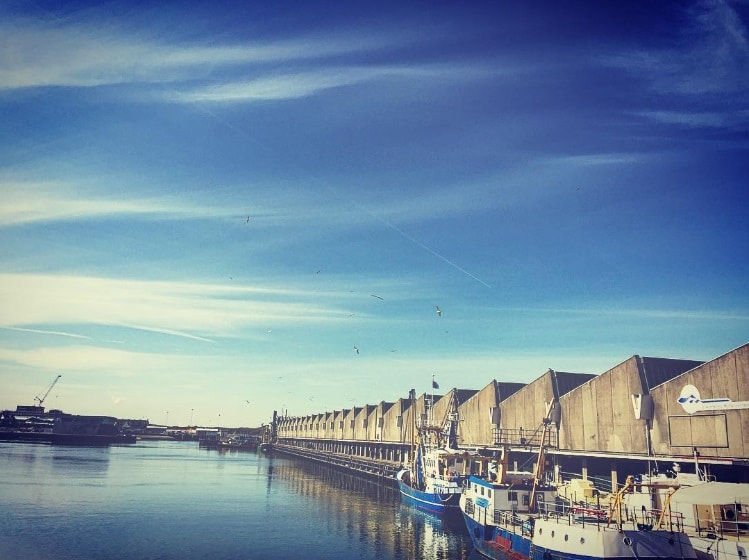 Guide to Scheveningen Harbor: 7 things to do in the Harbor of Scheveningen