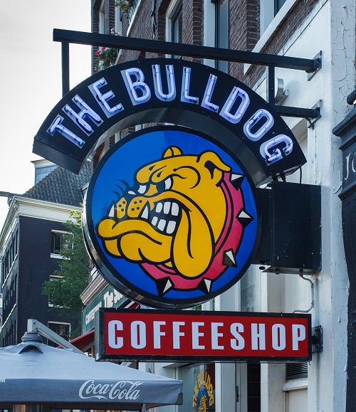 https://dutchreview.com/wp-content/uploads/bulldog-Smoking-Weed-in-Amsterdam-coffeeshop.jpg