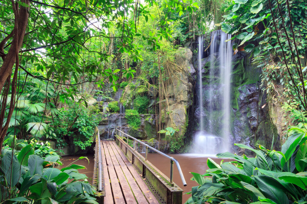 photo-of-waterfall-and-bridge-in-natural-landscape-at-burgers-zoo