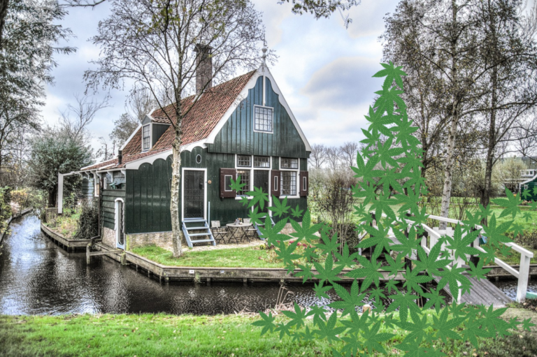 The first prefab hemp house in the Netherlands! A solution to the housing crisis?