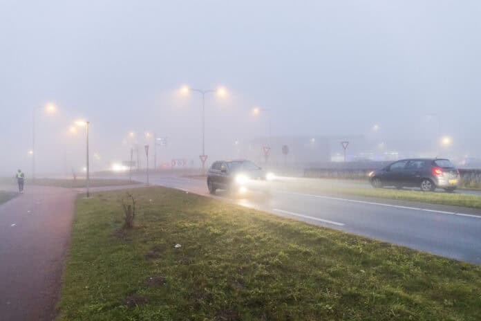 photo-of-cars-driving-through-thick-fog-in-the-netherlands-lights-on-green-grass-road