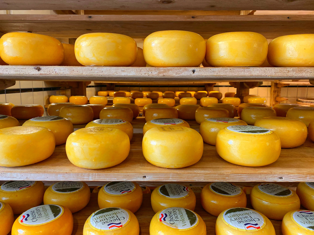 photo-of-wheels-of-cheese-on-shelves-in-cheese-factory-volendam-cheese-tourism-netherlands