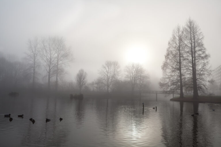 Gloom ahead: more February fog and clouds expected in the Netherlands