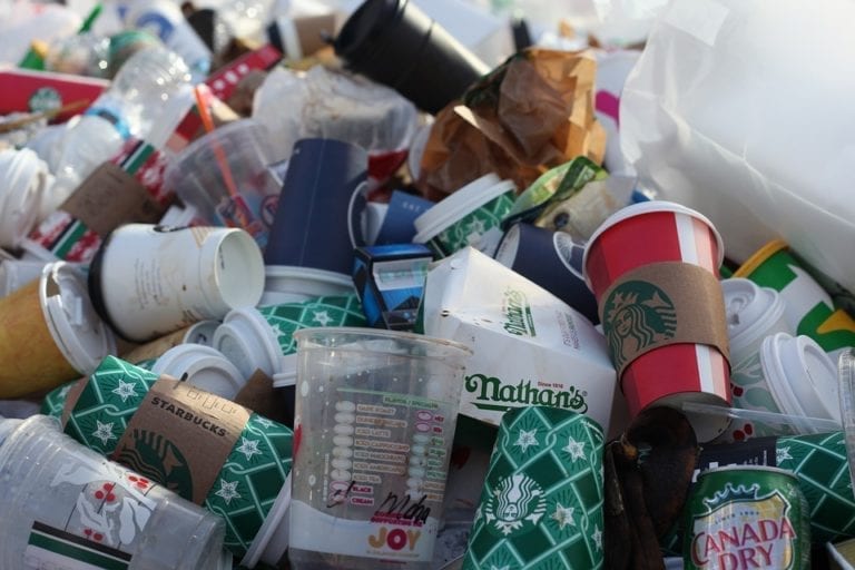 The Netherlands will finally say doei to disposable cups and plastic food containers
