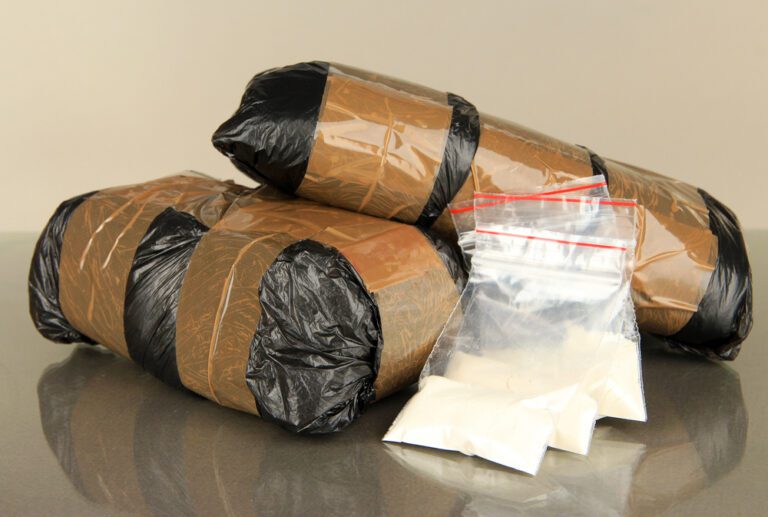 Dutch police find 1.5 TONNES of cocaine, British man sentenced to 21 years in prison