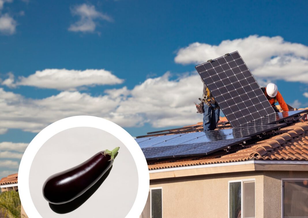 composite-image-solar-panels-penis-on-roof-Netherlands