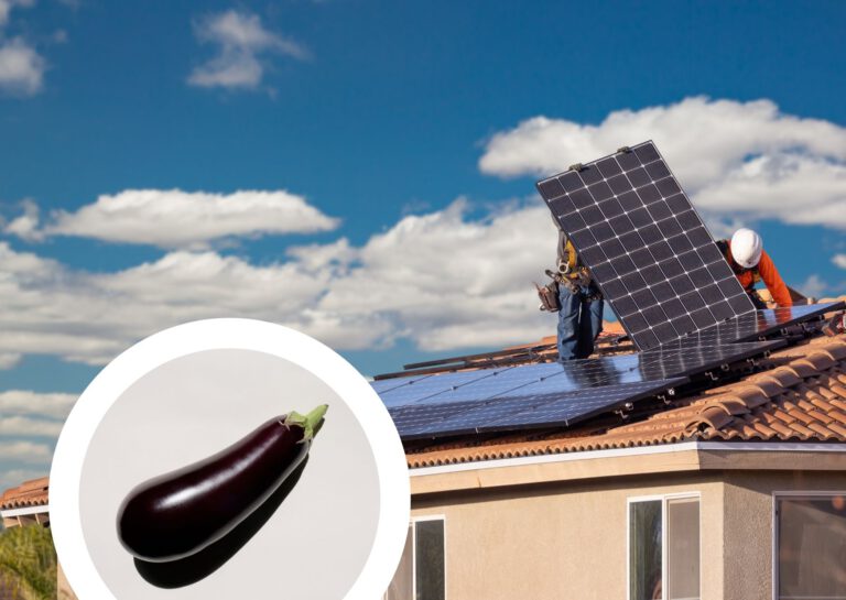 Dutch homeowners spell ‘penis’ with solar panels — and the municipality is not amused
