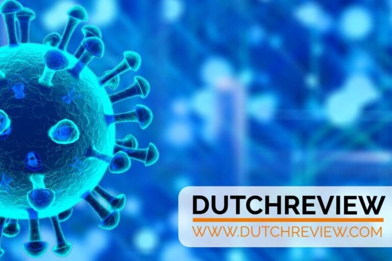 LIVE: Transfer of Dutch coronavirus patients to German hospitals restarts