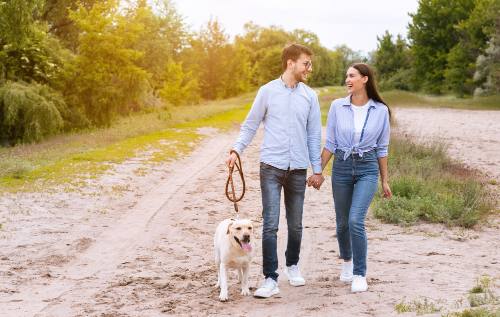 cute-couple-in-love-walking-their-dog-in-a-park-in-the-Netherlands-holding-hands