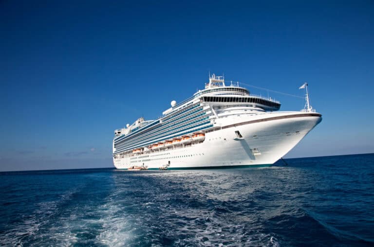 WHO confirms Dutch woman died from hantavirus on cruise ship