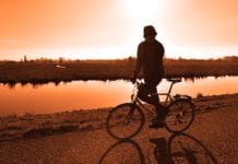 adulthood in the Netherlands