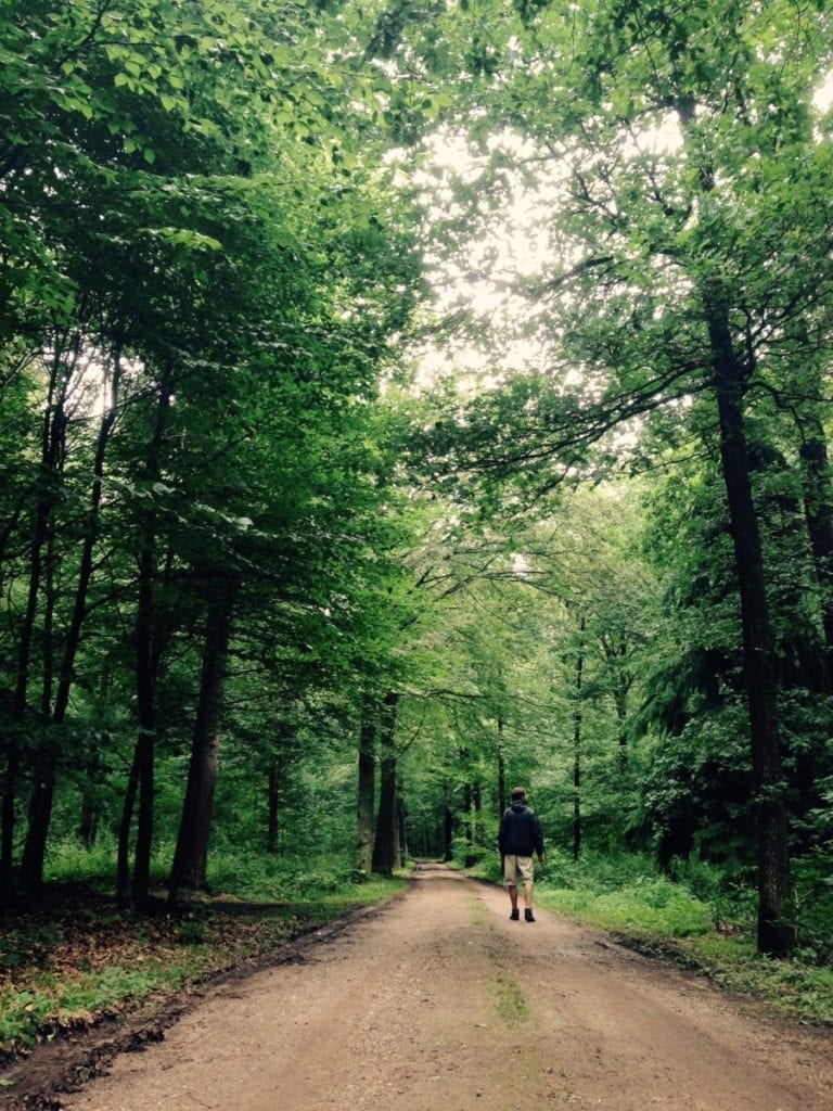 photo-man-walking-trail-between-tall-trees-gelderland