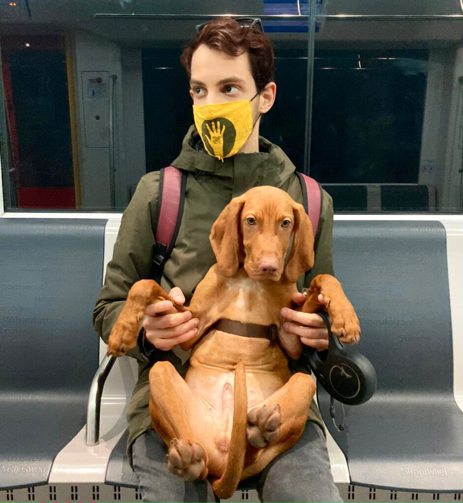 dog-is-traveling-on-Amsterdam-metro