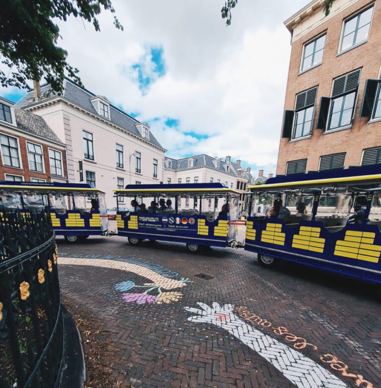 ‘The Other Virus’ spreading through the Frisian capital of Leeuwarden