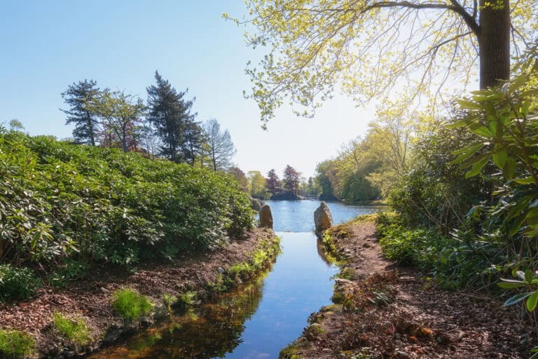 This is the healthiest city in the Netherlands (and no, it’s not Amsterdam)