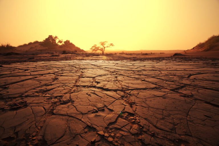 50 degrees Celsius in the Netherlands? Experts say it could soon be a reality