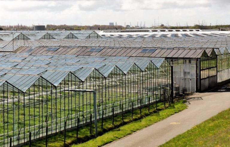 Dutch landscape needs greater protection against fragmentation caused by the agriculture industry