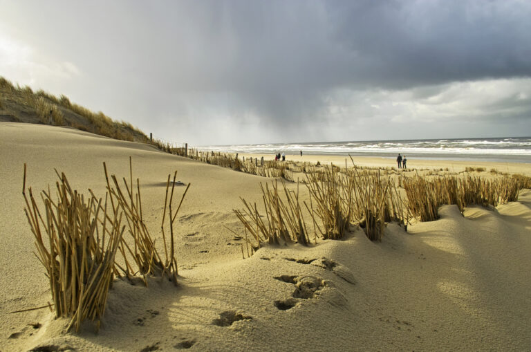 Hot-hot-hot temps incoming again, last chance for the Dutch beach this year?