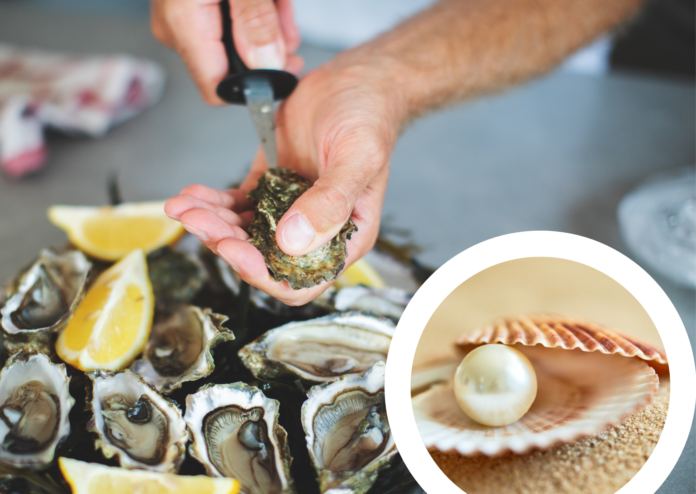 dutch-chef-finds-a-pearl-in-an-oyster