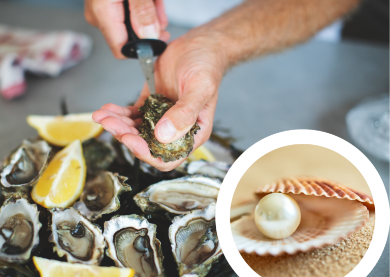 After 32 years of shucking oysters, this Dutch chef finally found his first pearl