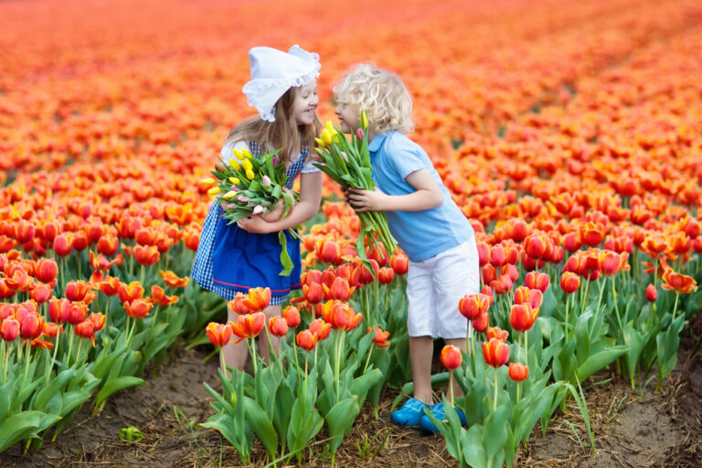 two-kids-wearing-traditional-dutch-dress-in-tulip-field