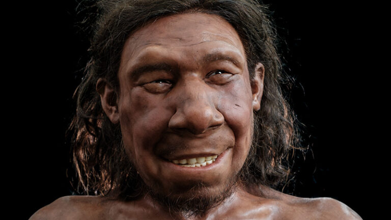 Oldest Dutch Neanderthal gets a face!