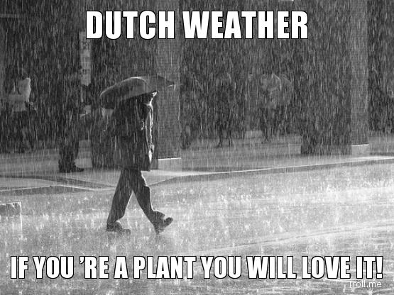 Dutch weather