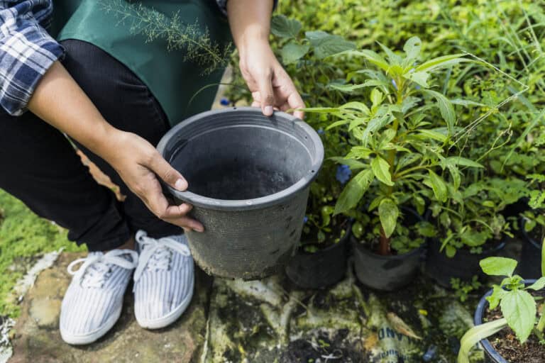 Dutch woman’s toilet protest at garden centre leaves everyone stunned (and soggy)