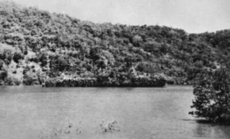 The Dutch ship that disguised itself as an island during World War II