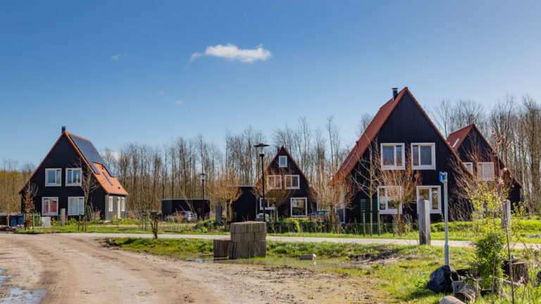 Sustainable housing: Dutch companies want to build more wooden houses