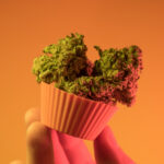 The best edibles in Amsterdam: The ultimate guide for 2026