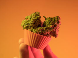 photo-of-hand-holding-edible-weed-cupcake-in-amsterdam