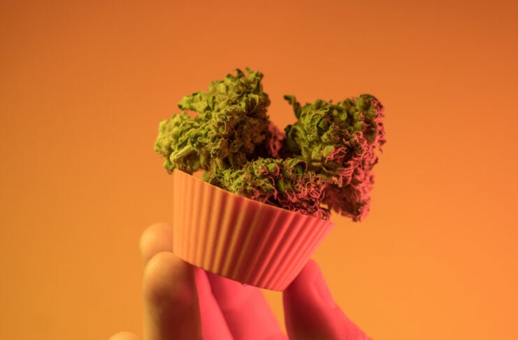 photo-of-hand-holding-edible-weed-cupcake-in-amsterdam
