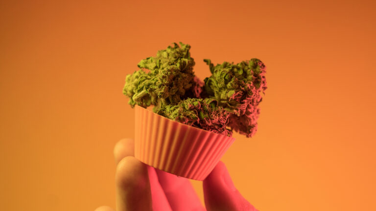 The best edibles and space cakes in Amsterdam: The ultimate guide for 2026