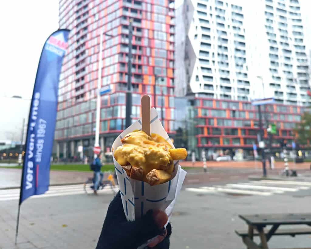 photo-ofenthusiastic-dutchreview-intern-holding-a-cone-of-fries-in-front-of-landmark-rotterdam-skyscrapers-