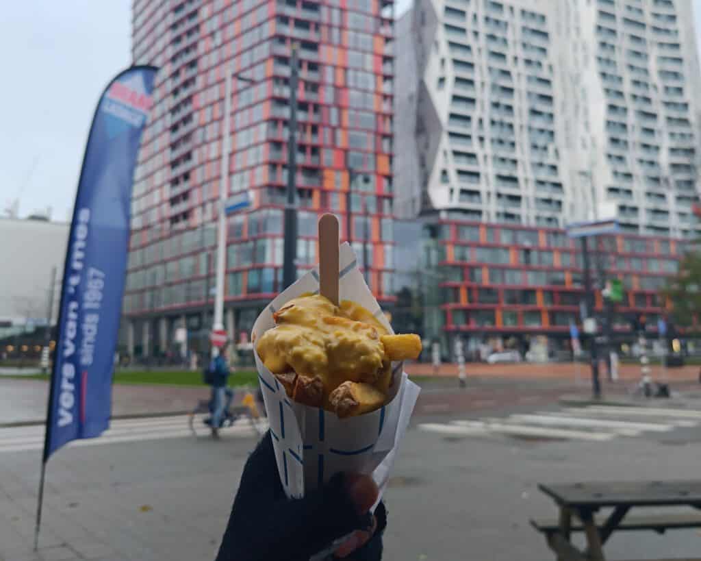 photo-of-enthusiastic-dutchreview-intern-holding-a-cone-of-fries-in-front-of-landmark-rotterdam-skyscrapers