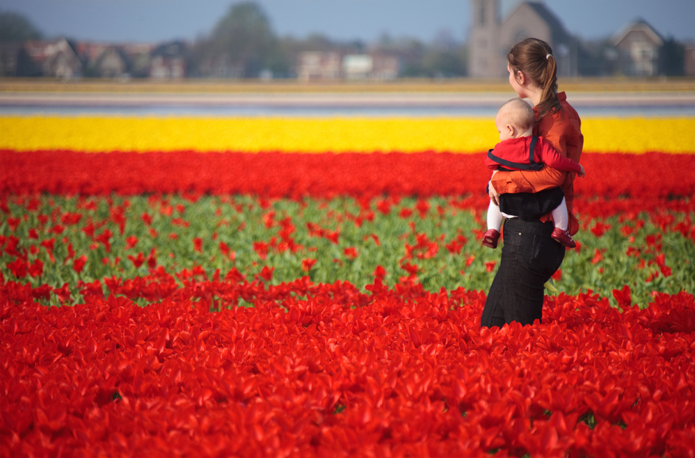 photo-of-expat-considering-buying-a-house-in-Netherlands-standing-in-tulip-field-with-a-baby-in-her-arms