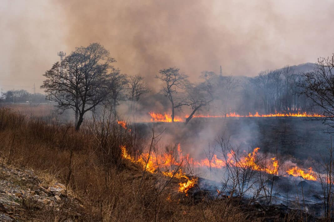 fire-rages-in-the-netherlands-as-country-asks-europe-for-aid