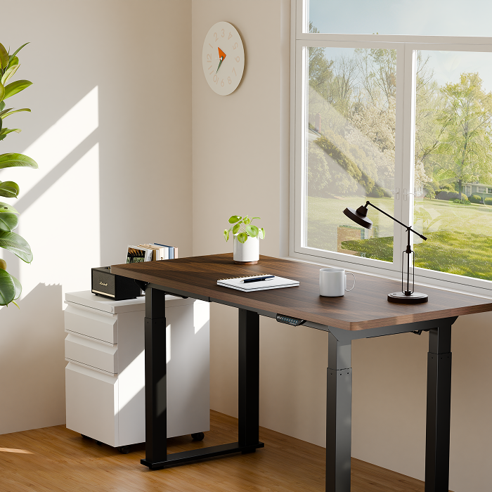 flexispot-sit-stand-desk-e2q-standard-best-home-office-upgrades-netherlands