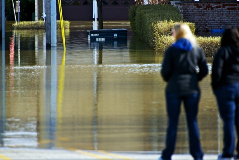 Dutch insurers reported half a billion euros in extreme weather damage last year