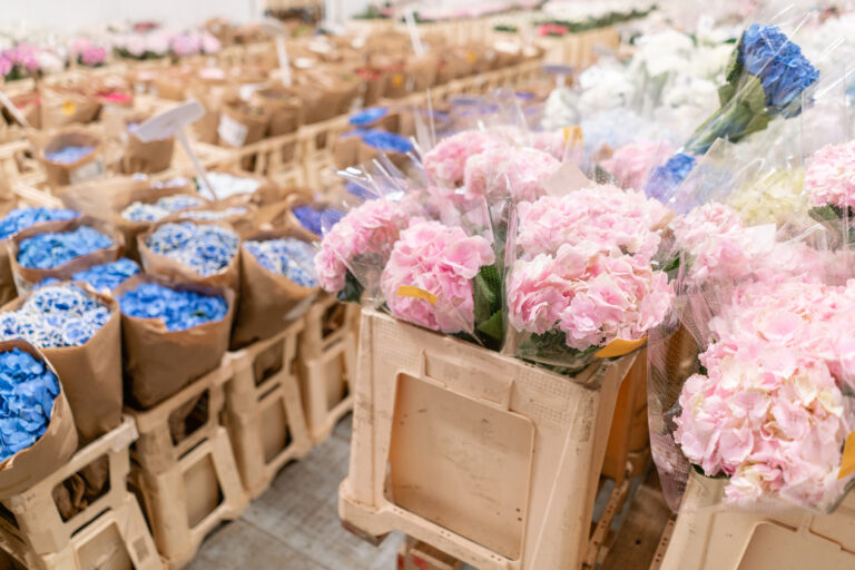 Here’s how technology changed the iconic way the Dutch sell their flowers