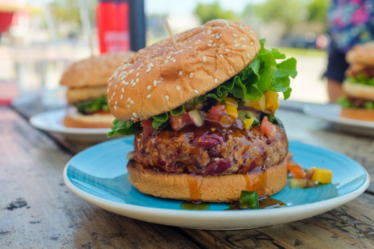 Photo-of-vegan-burger-netherlands