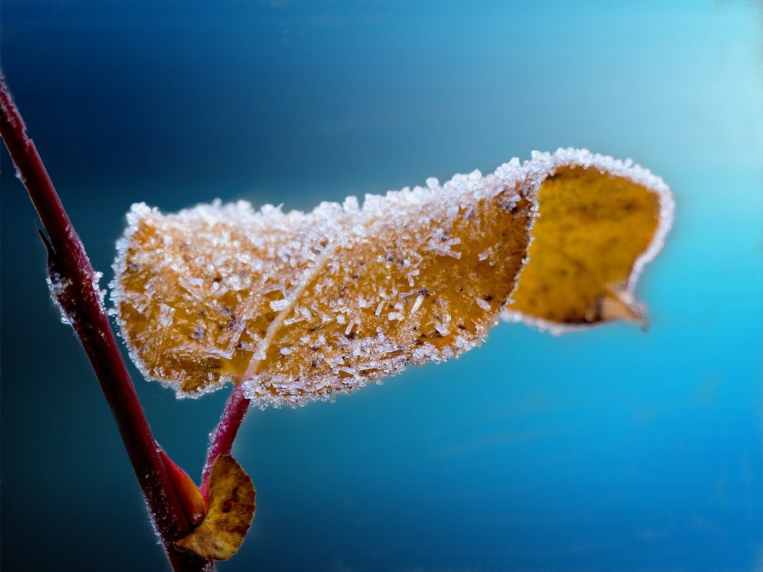 First frost in the netherlands
