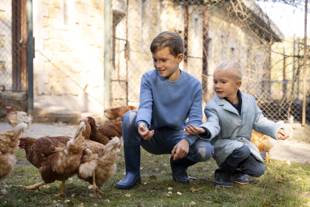 Close-up-photo-of-two-kids-in-the-Netherlands-feeding-chickens-on-a-farm