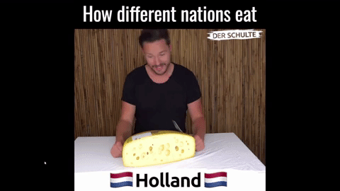difference between Holland and the Netherlands