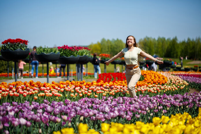 photo-of-girl-running-through-colourful-tulip-field-as-dutch-spring-arrives