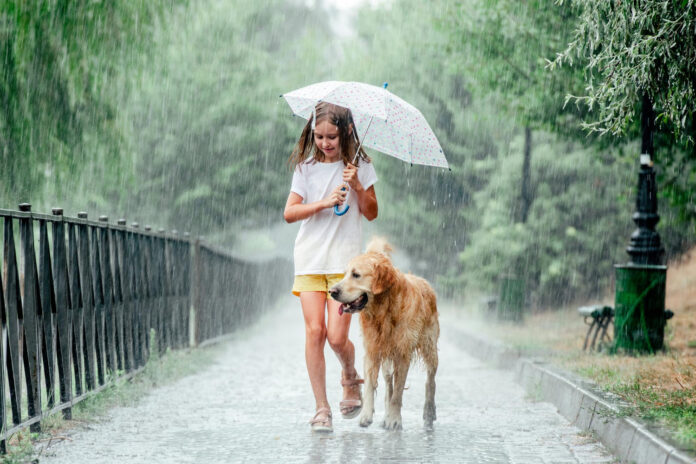 photo-of-girl-with-umbrella-and-dog-in-rain