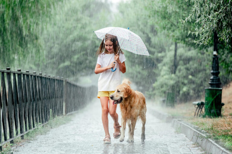 ‘Doei’ sunshine, hello Dutch weather: this week brings wind, rain, and lower temperatures